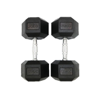 Knight Shot - Hex Rubber Dumbbell Black Cast Iron With High Grade Electroplated Handle 20Kg | Pair