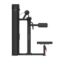 Bodytone Lateral Raise Forza Bold Series