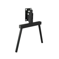 Fitmate Wall-Mounted Folding Dips Bar