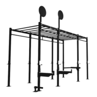 Fitmate Floor Mounted Monkey Bar Rig