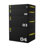Fitmate Stackable 4 in 1 Plyo Box