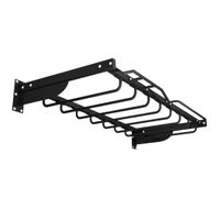 Fitmate Wall Mounted Monkey Bars