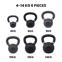 Fitmate Cast Iron kettlebell Set 6 pcs | 4 to 14 kg