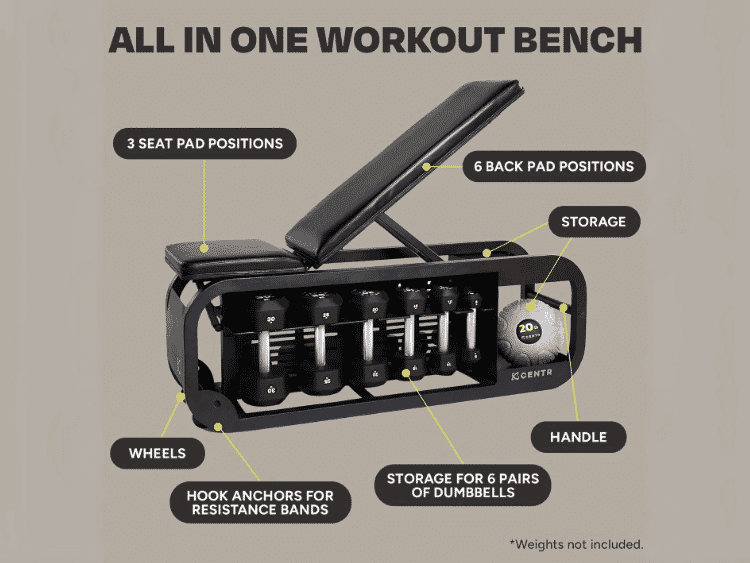 Fully Adjustable Bench