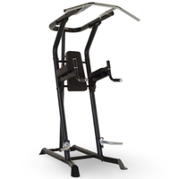 Inspire Fitness VKR Vertical Knee Raise