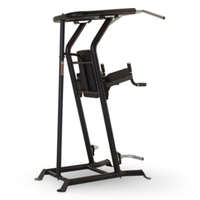 Inspire Fitness VKR Vertical Knee Raise