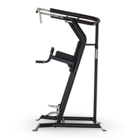 Inspire Fitness VKR Vertical Knee Raise