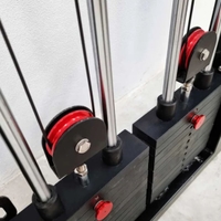 Liftdex Wall Mounted Cable Machine