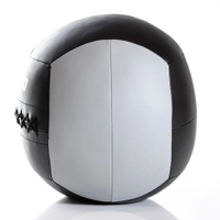 Livepro - Wall Ball-5Kg