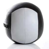 Livepro - Wall Ball-8Kg