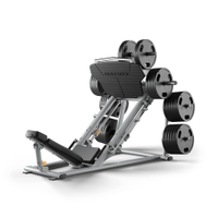 Matrix Magnum 45-degree Leg Press
