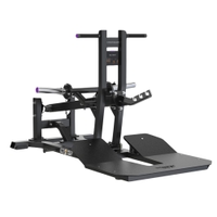 Insight Fitness Belt Squat