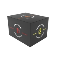 Bodytone 3 in 1 Softplyo Box (40x50x60)