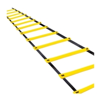 Agility Ladder for cross fit training