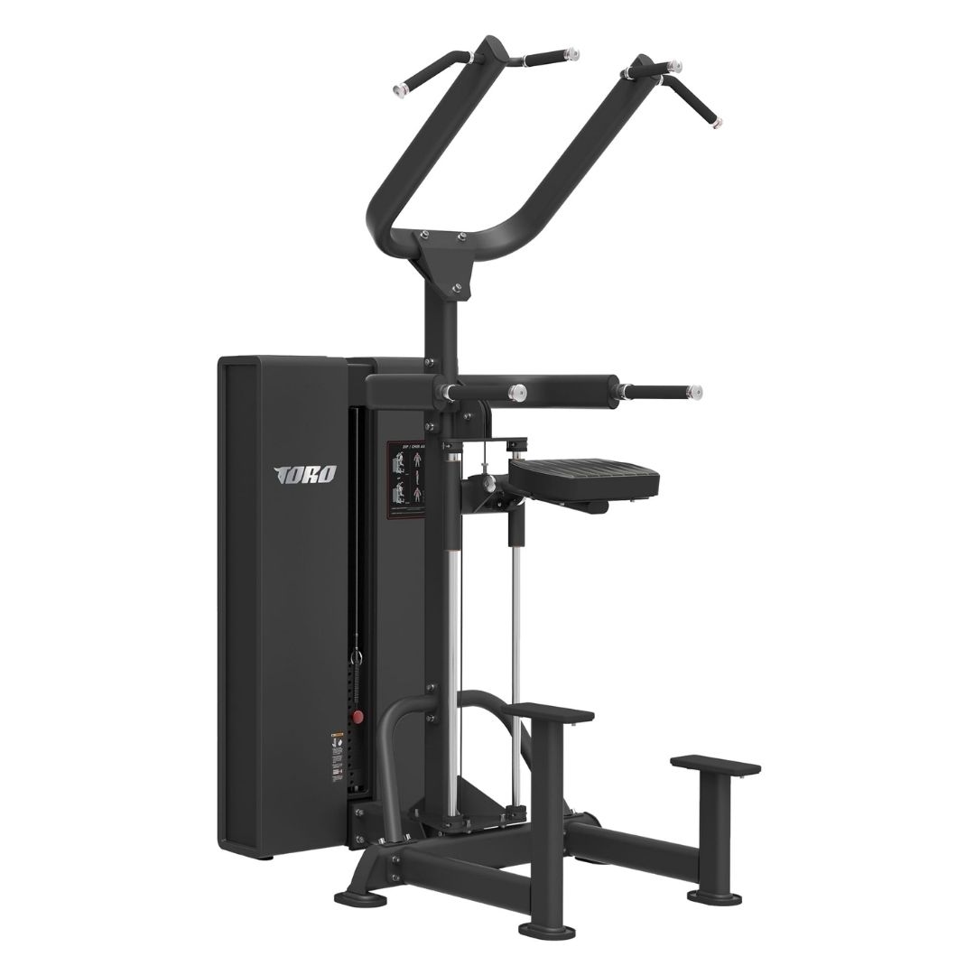 Toro Rage Dip / Chin Assist