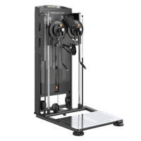 Insight Fitness Standing Multi Flight