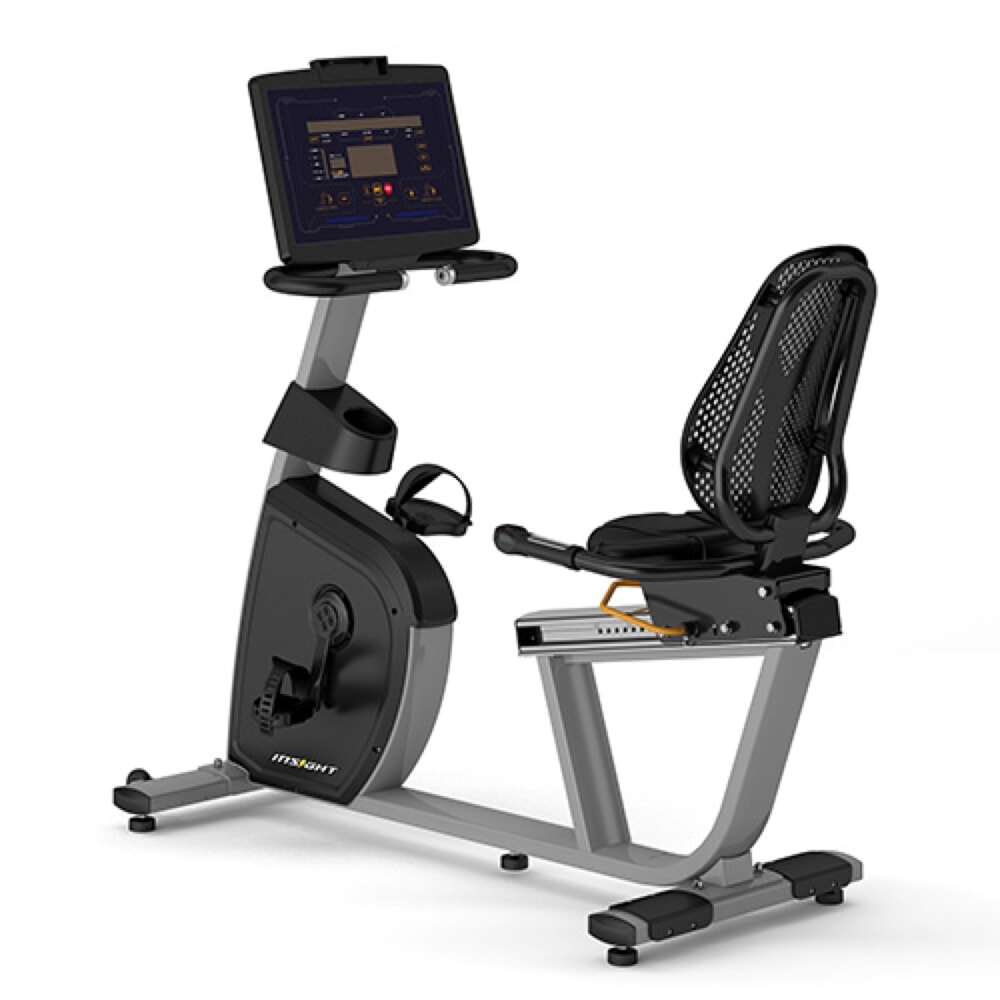 insight recumbent bike