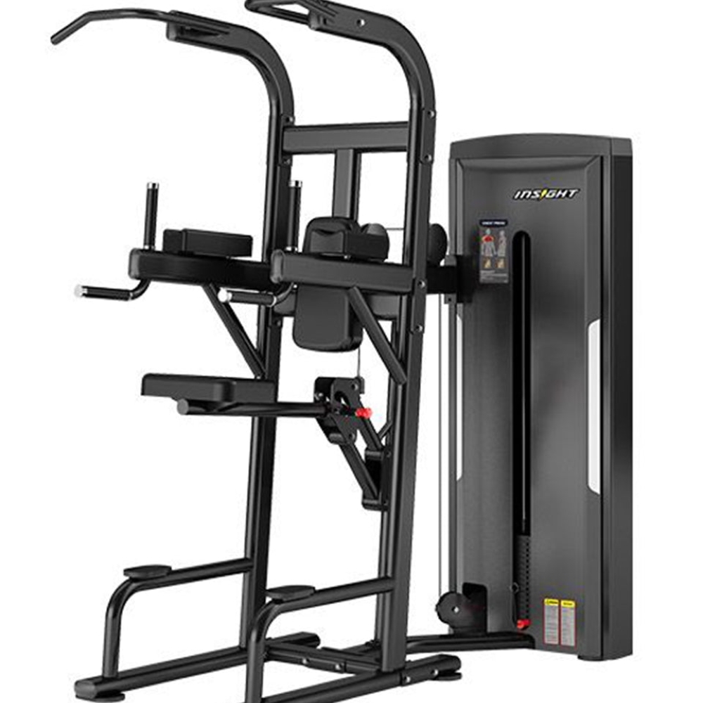 Insight Fitness SA008D Easy Assisted Chin Up