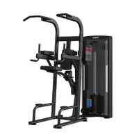 Insight Fitness Easy Chin/Dip