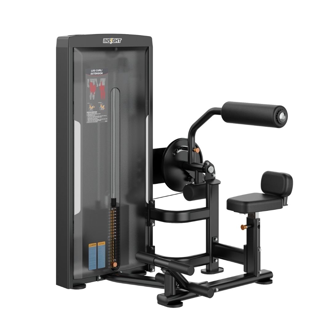 Insight Fitness Abdominal/Back Extension