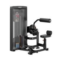 Insight Fitness Abdominal/Back Extension