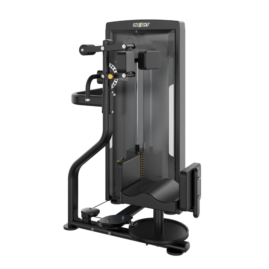 Insight Fitness Rotary Torso