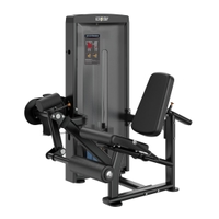 Insight Fitness Leg Extension