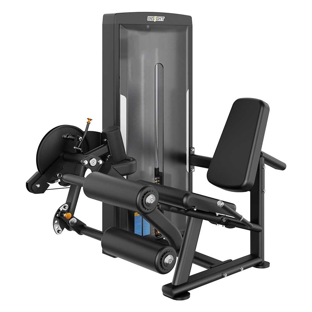 Insight Fitness Leg Curl And Leg Extension
