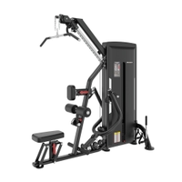 Insight Fitness Multi Pulldown/Row