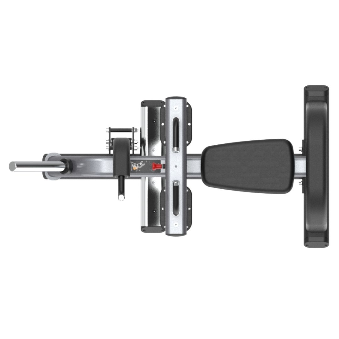 Insight Fitness Seated Calf Raise