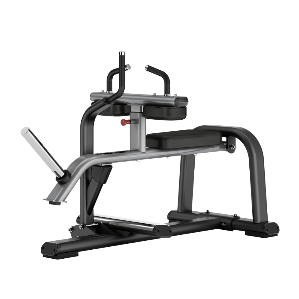 Insight Fitness Seated Calf Raise
