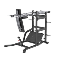 Insight Fitness Pendulum Squat