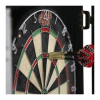 Shot Darts Renegade Dartboard & Dart Cabinet Set