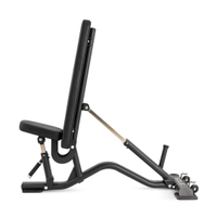 Sole Fitness SFI100 Multi-Angle Bench