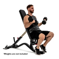 Sole Fitness SFI100 Multi-Angle Bench