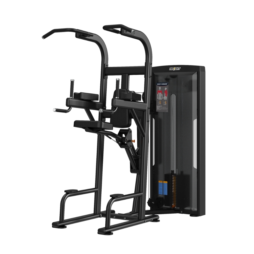 Insight Fitness Easy Chin/Dip