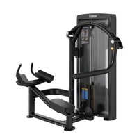 Insight Fitness Rear Kick