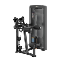 Insight Fitness Lateral Raise