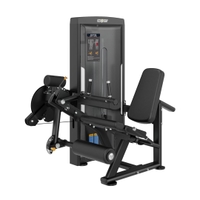 Insight Fitness - Leg Curl/Extension