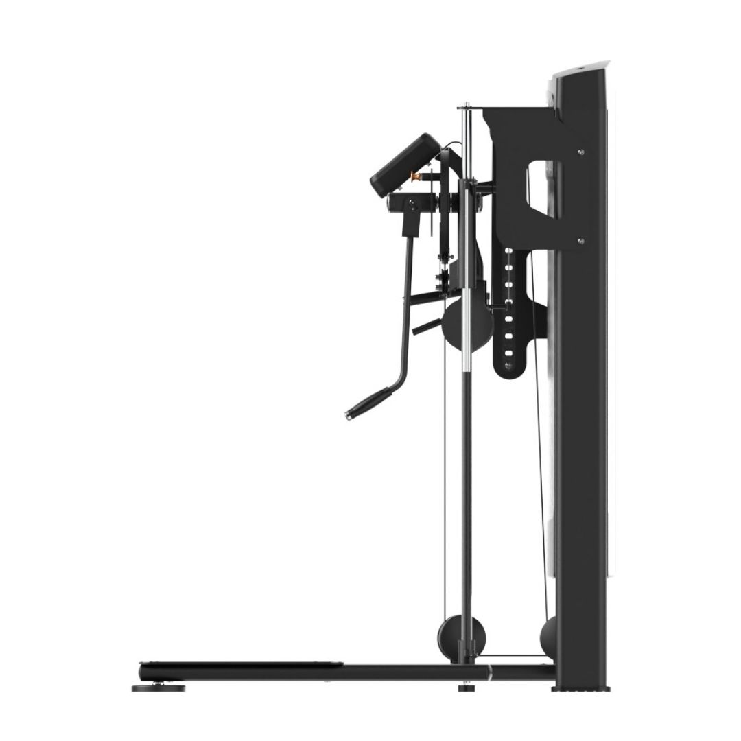 Insight Fitness Standing Multi Flight