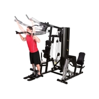 Horizon Fitness Torus 5 Multi-Gym