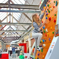 XClimbPro Rotating Climbing Wall Large