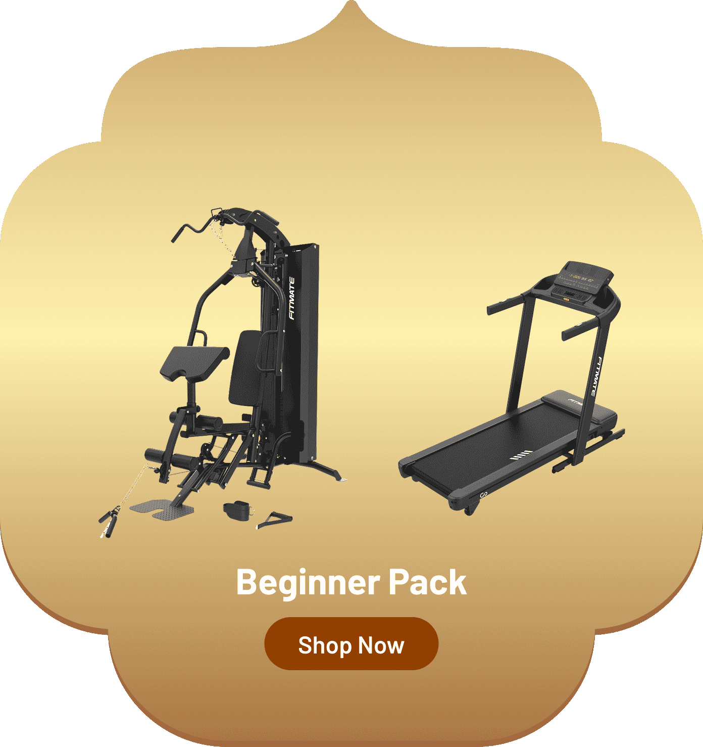 beginner pack
