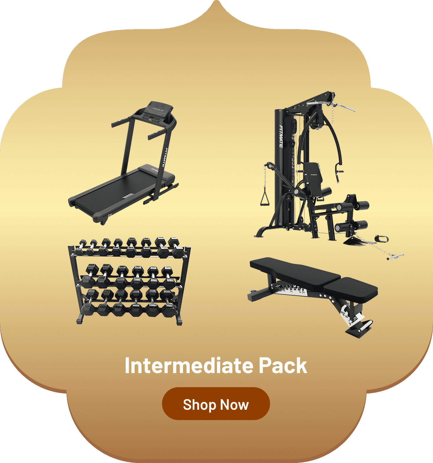 intermediate pack