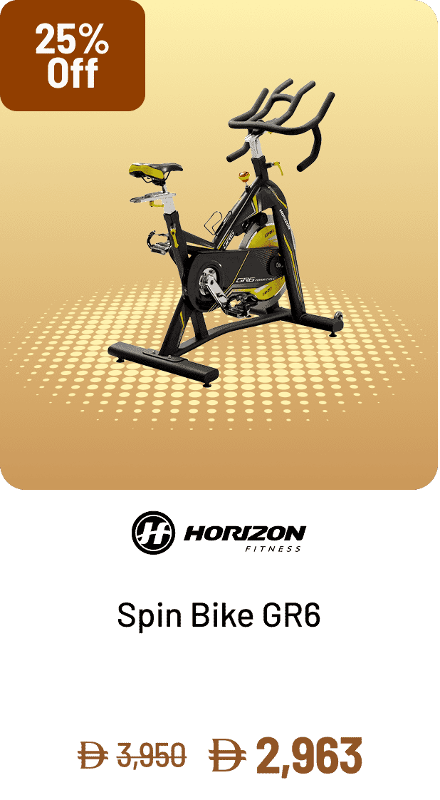 Horizon Fitness Spin Bike GR6