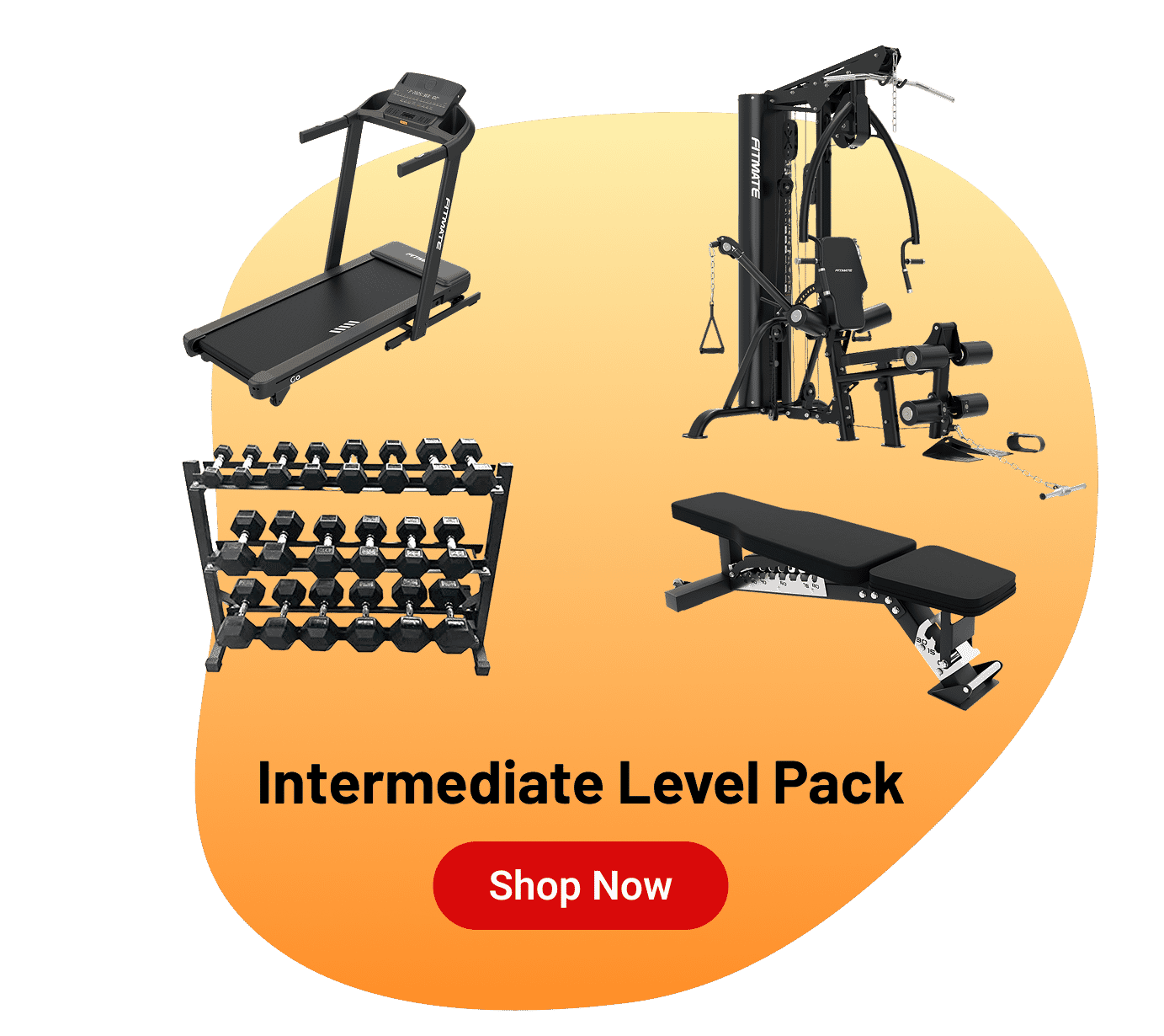 intermediate pack