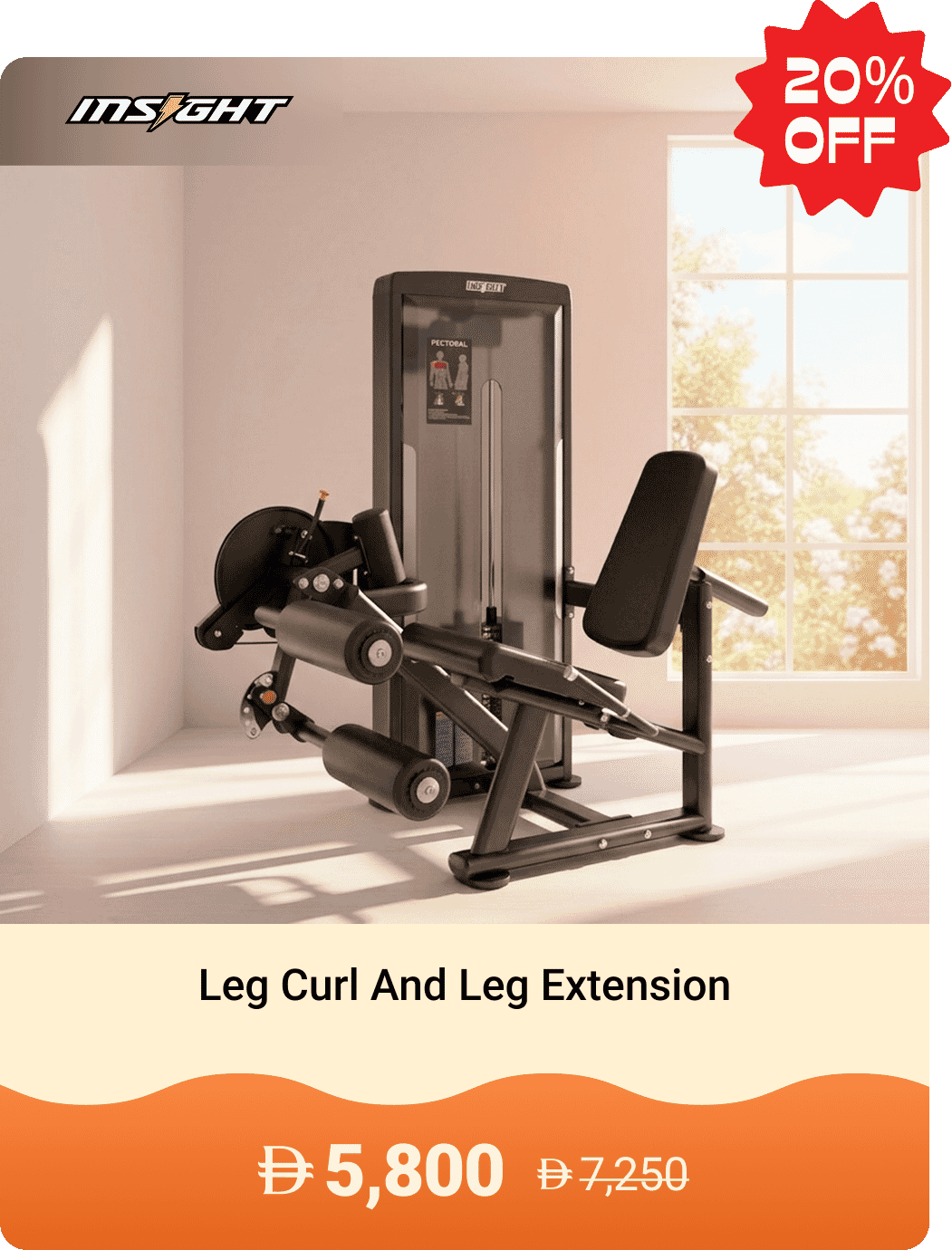 Insight Fitness Leg Curl And Leg Extension