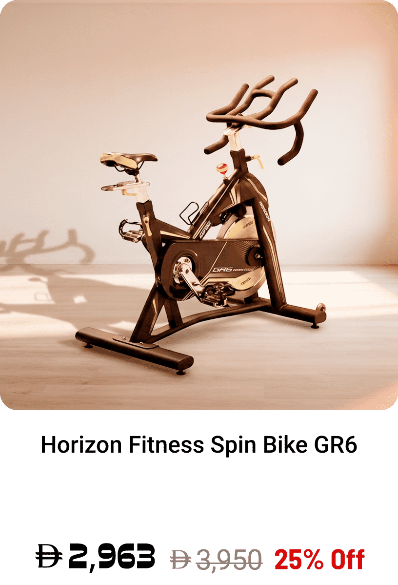 Horizon Fitness Spin Bike GR6