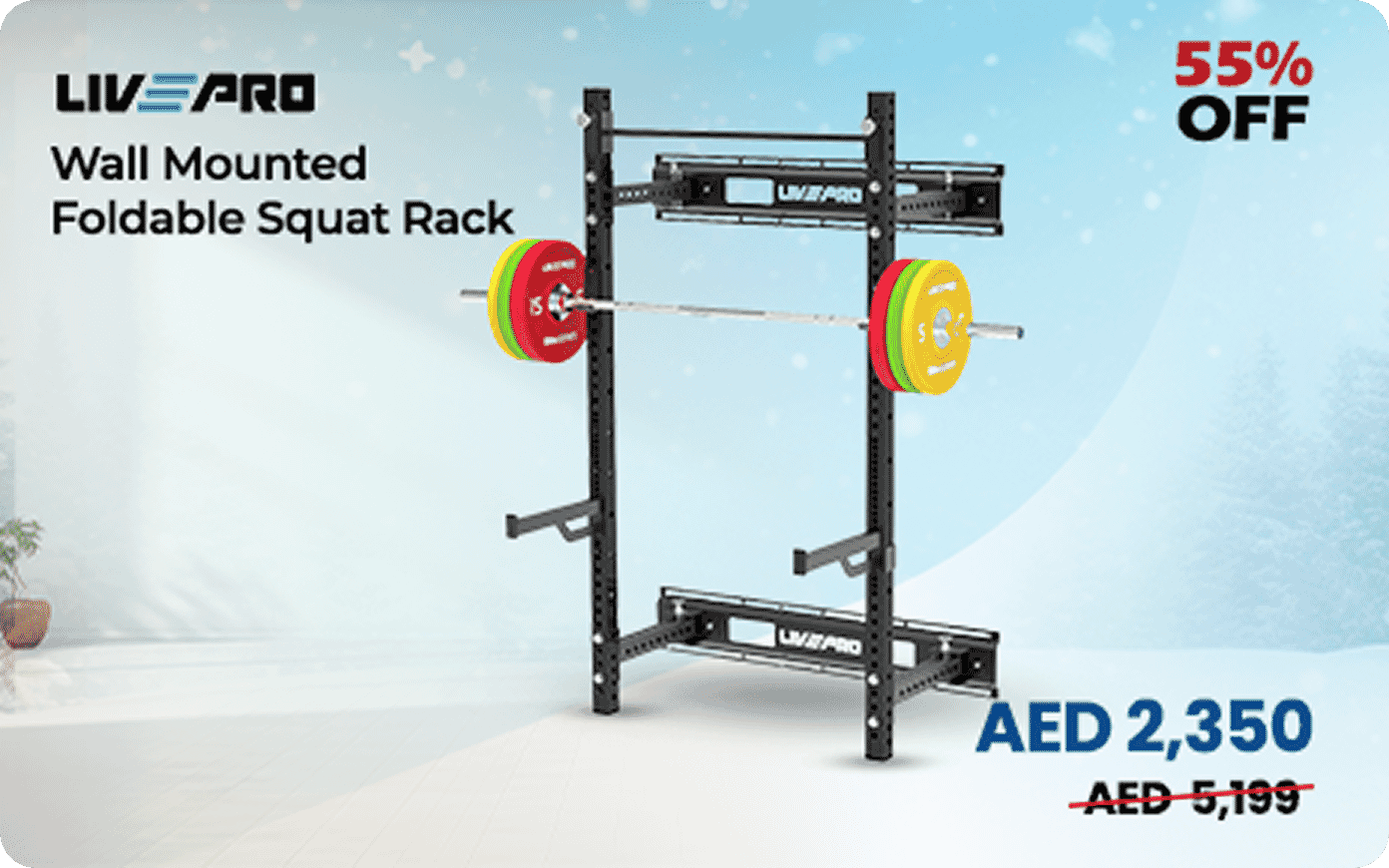 Livepro Wall Mounted Foldable Squat Rack